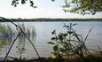 Агроусадьба  Жаворононок имеются места с  25 августа баня  озеро питание  уютные домики WiFi доступные цены
