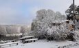  Estate "Circle of friends on the Berezina"