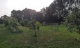 Агроусадьба «Токари»