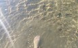 Всегда прозрачная вода