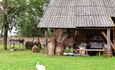 Farmhouse "Alesya"