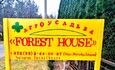 Forest House