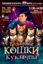 ''Волшебные кошки'' Театр кошек Куклачёва!