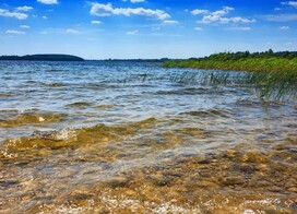 Карта Бобруйска с улицами и домами со спутника онлайн 