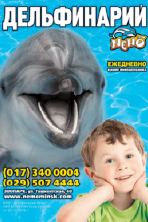 Дельфинарий в зоопарке