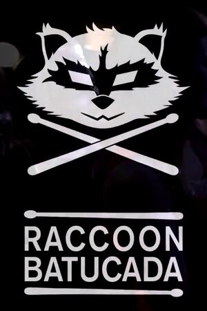 Raccoon Batucada - бразильские барабаны и самба