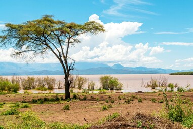 The Bale Mountains trekking