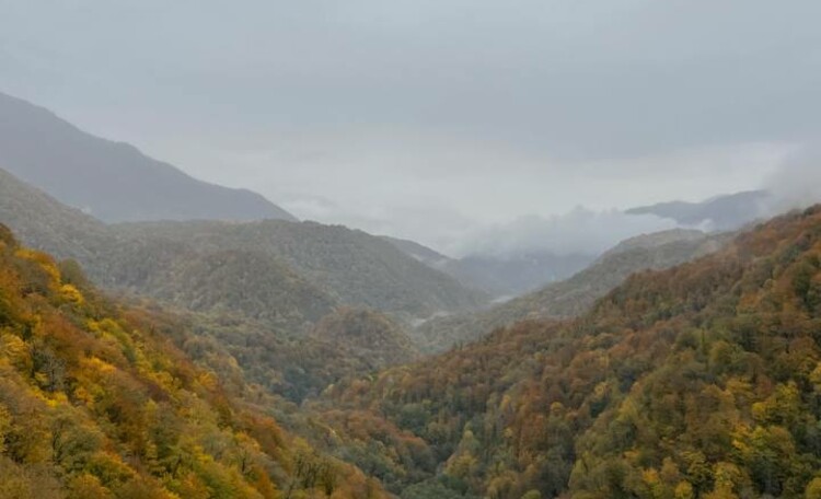 Джиппинг в Красной поляне