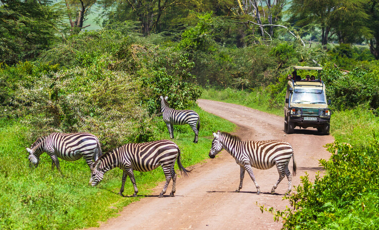 8 days safari in Tanzania
