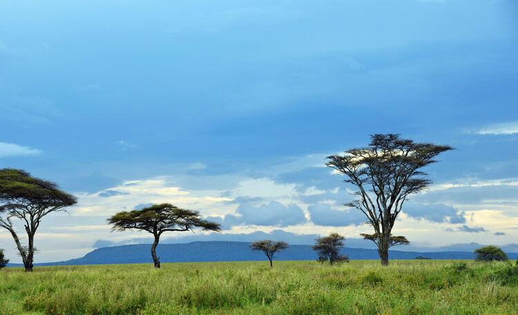 3-day safari with a visit to Serengeti National Park
