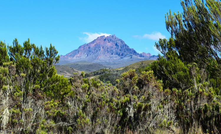 Climbing Kilimanjaro in 10 days