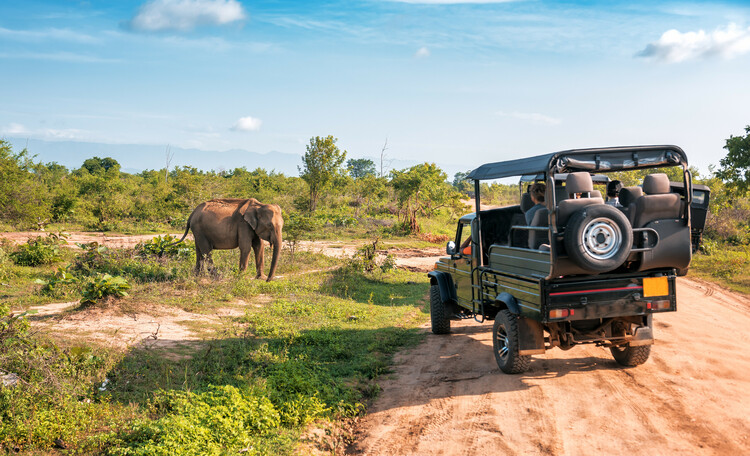 3 Days safari in Northern circuit of Tanzania