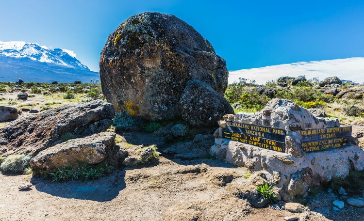 7-day Mt. Kilimanjaro climbing experience