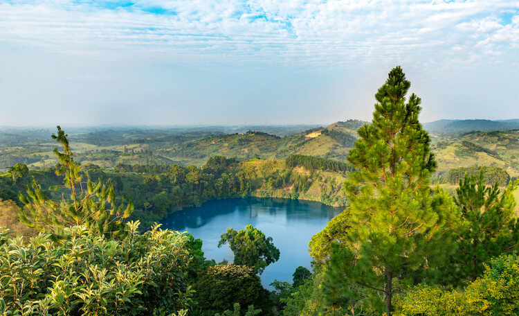 Cold springs in the Kibale National Park