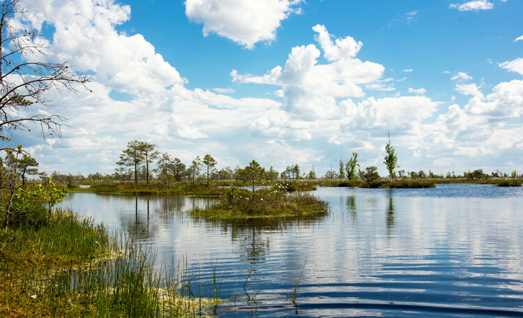 Озеро Курганистое - жемчужина Ельни