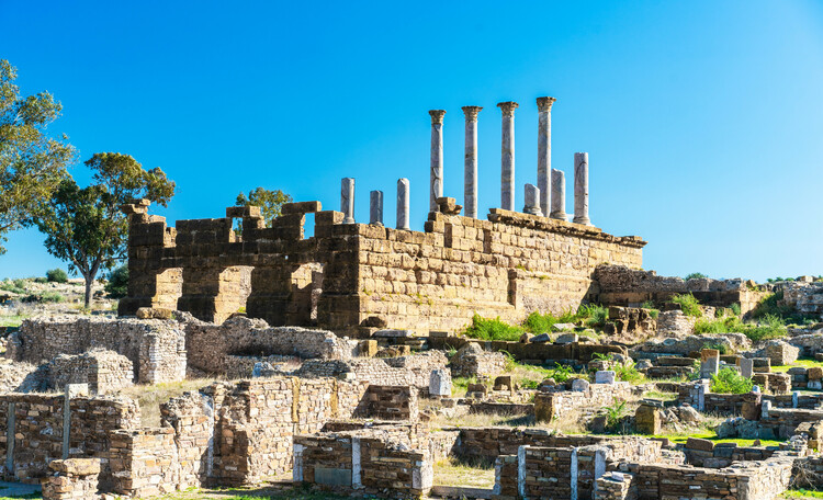 Explore ancient Tunis