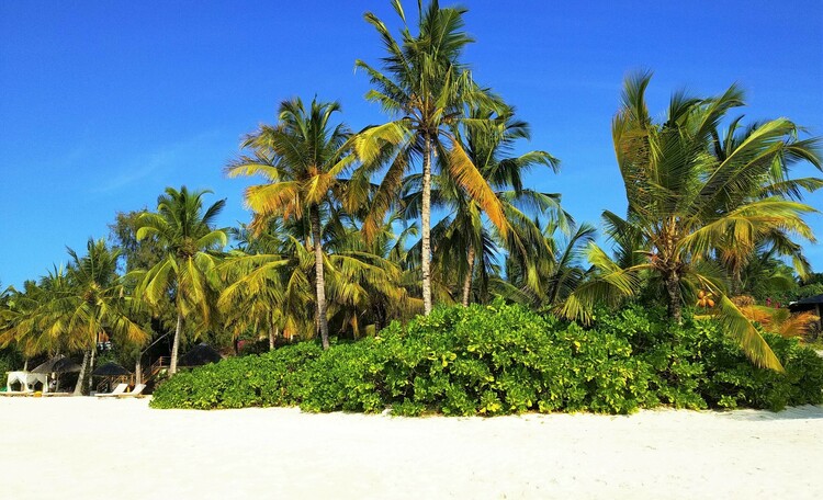 Journey to the village of Nungwi