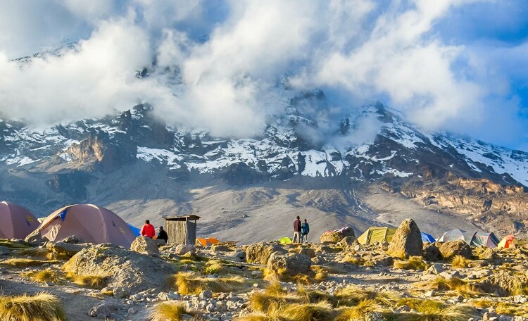 5-day trek to Kilimanjaro's peak