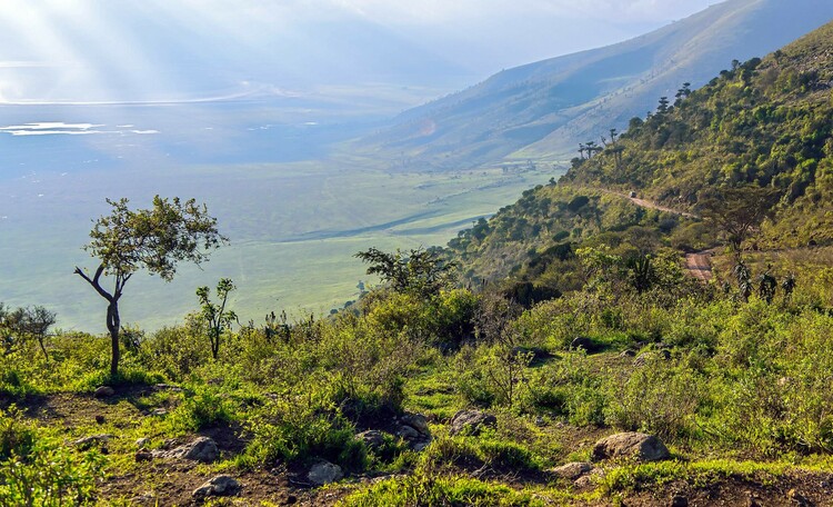 Journey through Tanzania's natural wonders