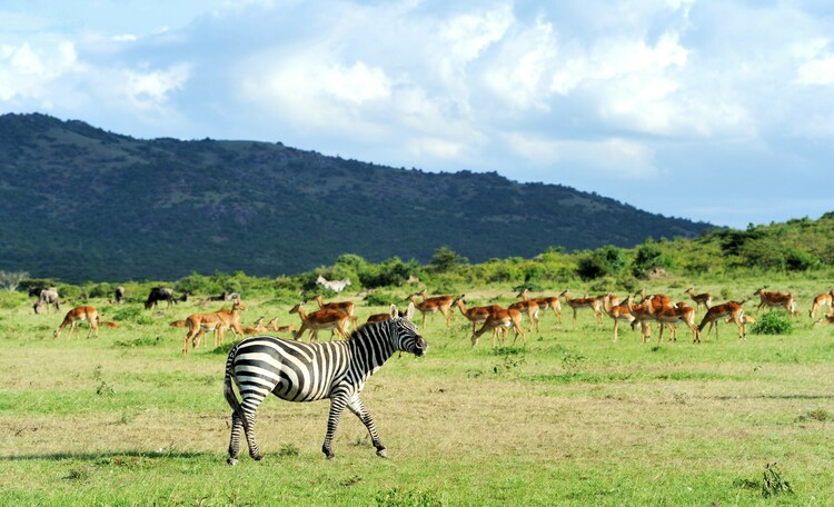 Journey to the heart of Tanzania