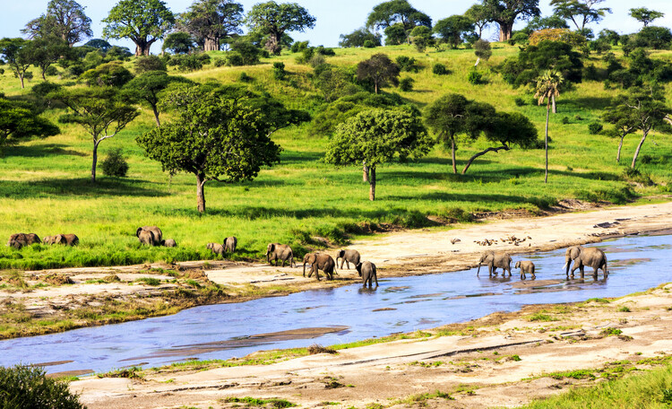 6 days safari in Tanzania