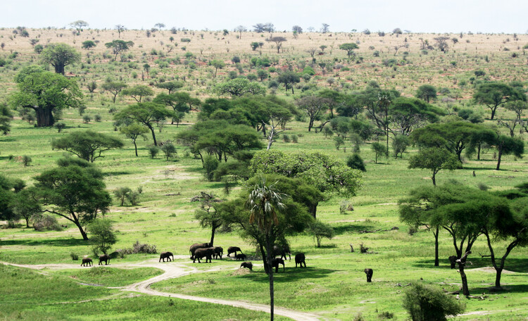 7 days safari in Tanzania