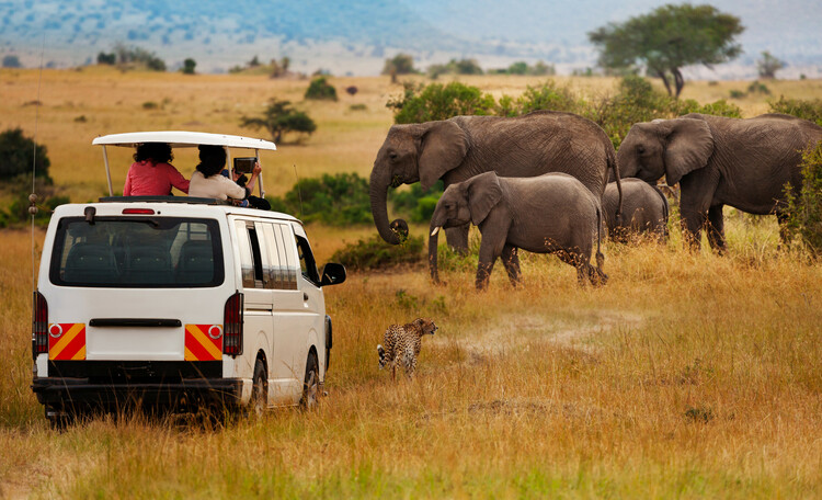 A 5-day Kenya wildlife safari