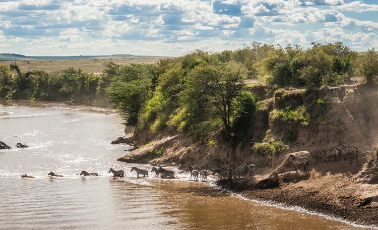 Masai Mara safari adventure