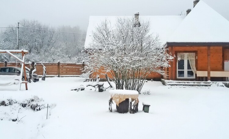 Зима в Беловежской пущи.