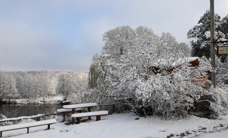  Estate "Circle of friends on the Berezina"