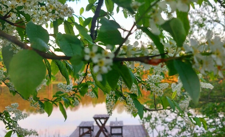 Усадьба «Солнечный дом» 