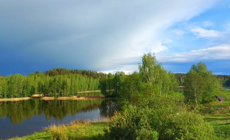 Усадьба «Прованс»