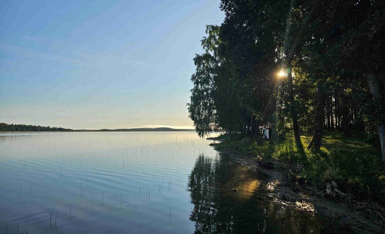 Апартаменты «Озерный» в VILLA FOREST HOUSE