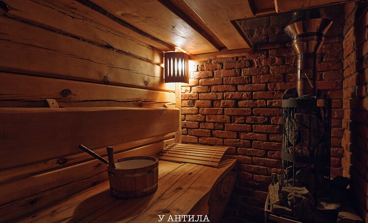 Домик под Минском от 2 до 10 человек,камин, баня, бассейн, купель с джакузи 