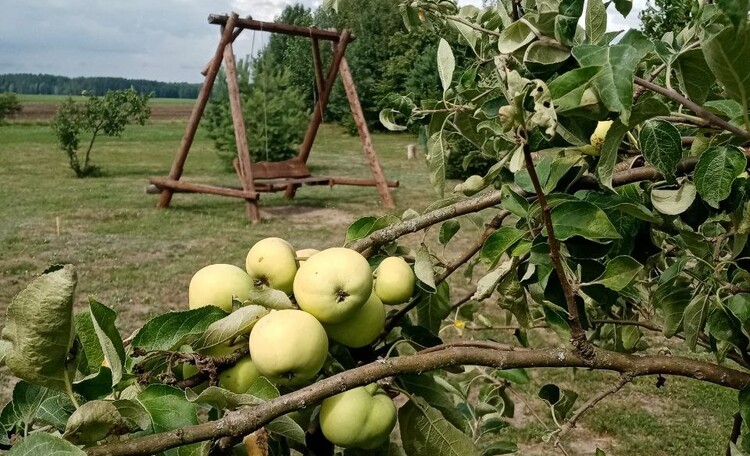 Агроусадьба «У Камина»