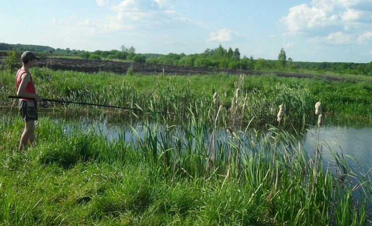 Farmstead Pushchanka in Belovezhskaya Pushcha