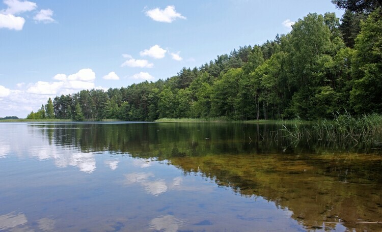 Озеро Струсто, вид с воды на Пантелеевский Рог