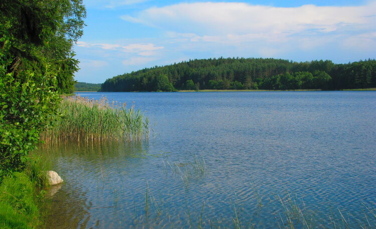 Homestead "Zhemchuzhny kray"