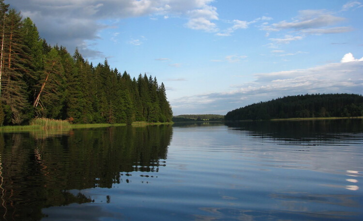 Homestead "Zhemchuzhny kray"