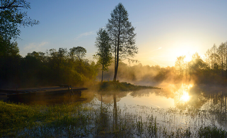  Estate "Circle of friends on the Berezina"