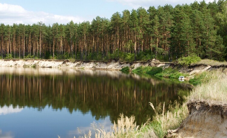 Farmstead "Berezina"