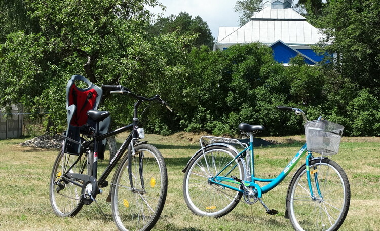 Бесплатно четыре велосипеда (+ детское кресло для детей до 22 кг) для прогулок по Пуще (500 м от усадьбы)