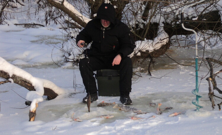  Estate "Circle of friends on the Berezina"