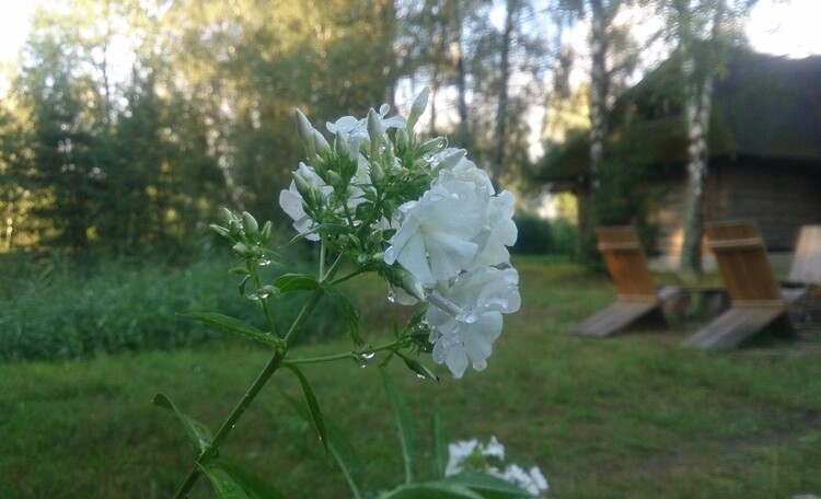 Агроусадьба «Заезд Зубачи»