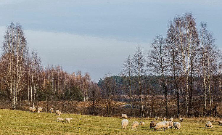 Farmhouse "Hutor Yodishki" ("Farm Edishki")