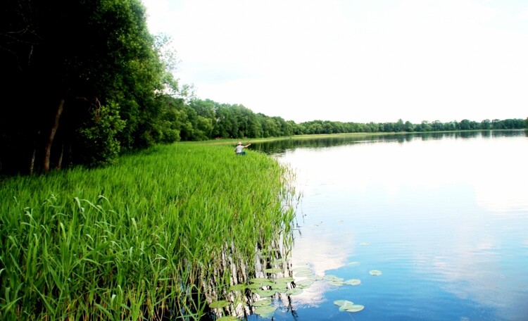 Farmhouse "Hutorok u ozera" ("The farm by the lake") 