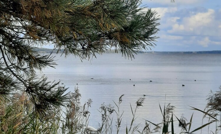 Озеро Нарочь)