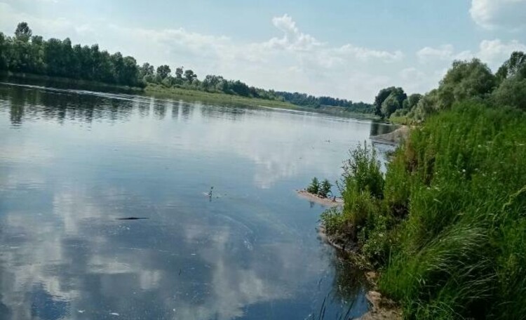 Усадьба «Золотой ручей»