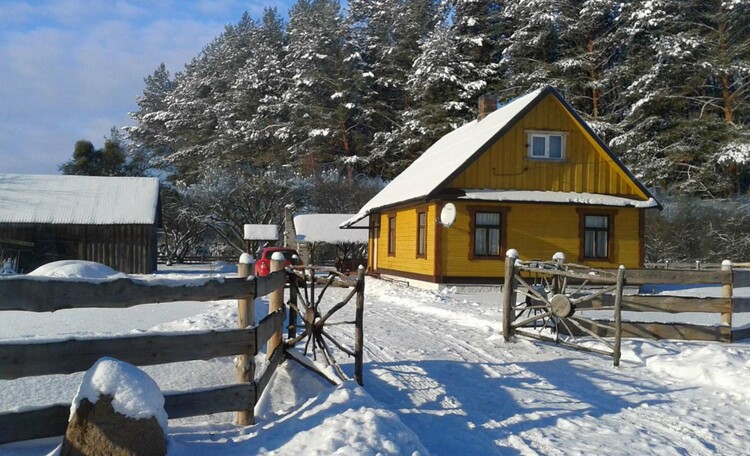 Sunny house in Belovezhskaya Pushcha