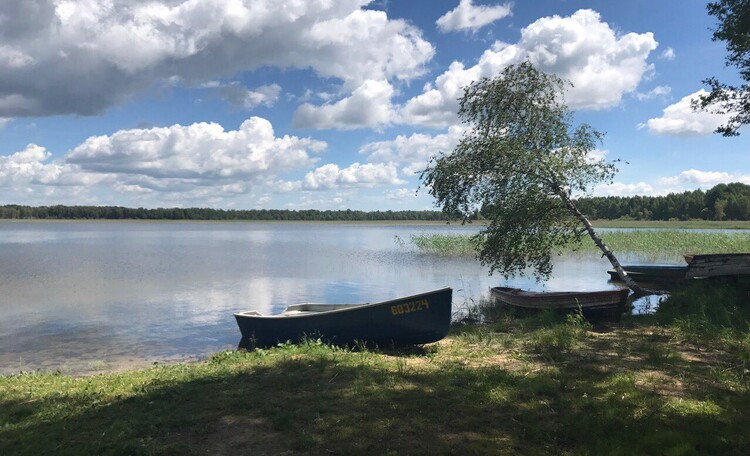 Усадьба «Дыхание леса» Браславские озера